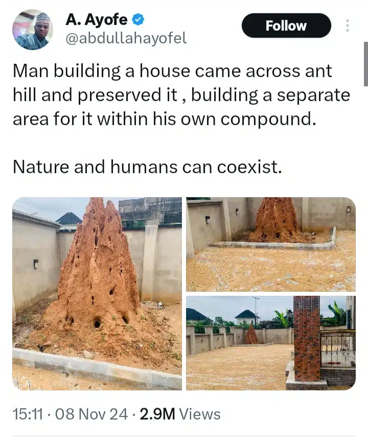 Blended Responses As Man Jam Ant Colony Dwelling Place In His Compound, Shares Why (PHOTOS)