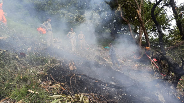 PHOTOS: Another Aircraft Crashes in India, All Crew and Passengers on Board Dead