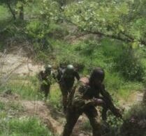 Boko Haram Reportedly Attack, Abducted 9 Villagers in Nigeria- Niger border (PHOTOS)