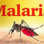 Investigation Shows That The Incidence Of Malaria Drop by 22% In 2021