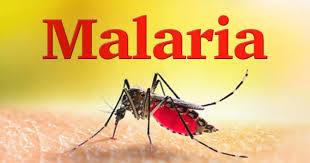 Investigation Shows That The Incidence Of Malaria Drop by 22% In 2021