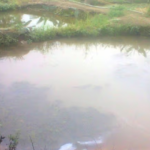 Community In Shock As 3 Underage Girls Drown In Jigawa Pond