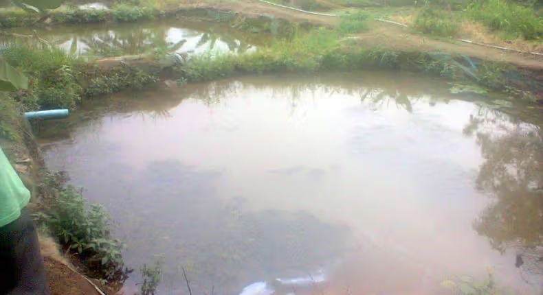 Community In Shock As 3 Underage Girls Drown In Jigawa Pond