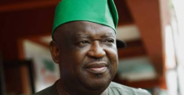 Plateau Governor, Caleb Mutfwang, Sacks 17 Local Government Chairmen