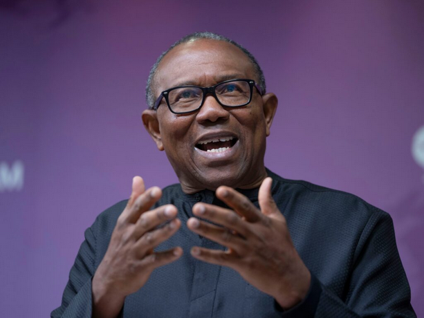 Food Insecurity Is Intrinsically Linked To Human Insecurity – Peter Obi Says