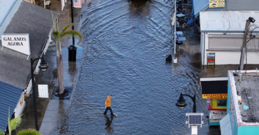 BREAKING: 20 Dead After Hurricane Helene Slams Into South-East US