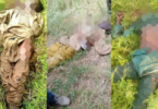 Three Boko Haram Terrorists Kill During Fighting Patrol In Borno (PHOTOS)