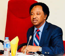 Edo Decides2024: “Nothing Changed, No Lessons Learned”: Shehu Sani Cried Out Over Vote Buying Despite Reforms