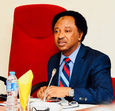 Edo Decides2024: “Nothing Changed, No Lessons Learned”: Shehu Sani Cried Out Over Vote Buying Despite Reforms