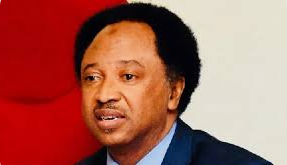 Neglecting Nigerians In Foreign Jails Is Irresponsible, Shehu Sani Slams FG