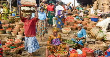 Ensuring Food Security for Sustainable Future - APC Chieftain