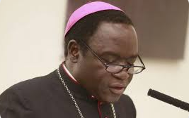 Nigeria 'll Track Down Arrangement Suppliers Through Understudies' Developments– Kukah