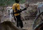 Benue Monarch Decries Tragedy: '67 of My People Killed by Herdsmen