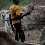 Benue Monarch Decries Tragedy: '67 of My People Killed by Herdsmen