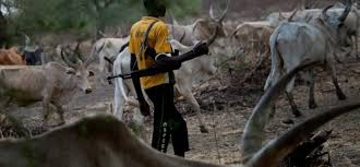 Benue Monarch Decries Tragedy: '67 of My People Killed by Herdsmen