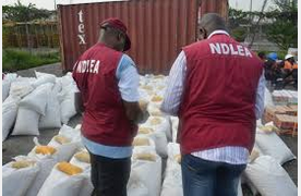 NDLEA Disclose Plans To Confiscate Properties Linked To Drug Trafficking