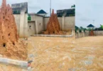 Blended Responses As Man Jam Ant Colony Dwelling Place In His Compound, Shares Why (PHOTOS)