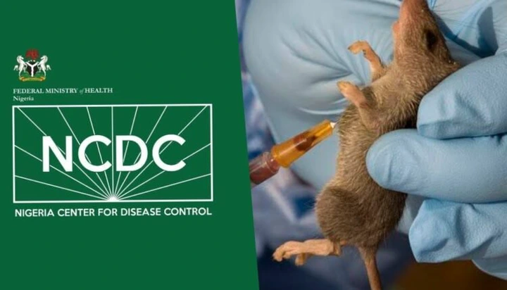 NCDC Recorded Fresh 1,154 Lassa Fever Cases, 190 Deaths This Year