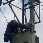 Tragedy: Transformer Thief Electrocuted In Enugu