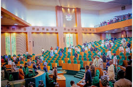 Rep Celebrate Nigerians, Emphasises Unity, Love, and Peace