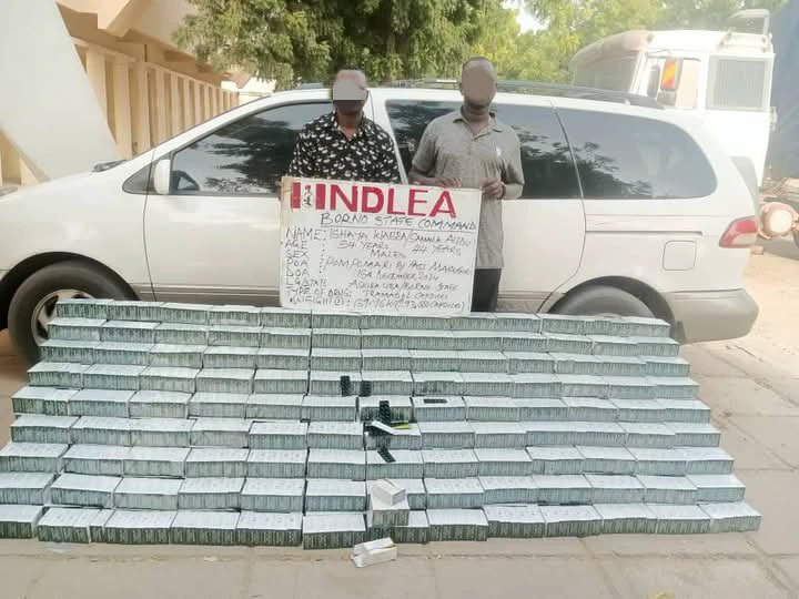 NDLEA Nabs Smuggler, Ex-Convict, with Over 1 Million Opioid Pills (PHOTOS)