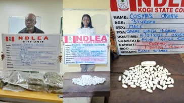 NDLEA Nabs 26-year-old Student With 76 Wraps Of Cocaine