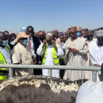 BREAKING: Borno Launches Modern Livestock Ranch to End Farmer-Herder Conflicts