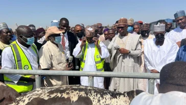 BREAKING: Borno Launches Modern Livestock Ranch to End Farmer-Herder Conflicts