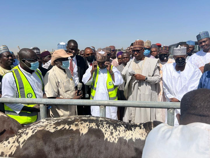 BREAKING: Borno Launches Modern Livestock Ranch to End Farmer-Herder Conflicts