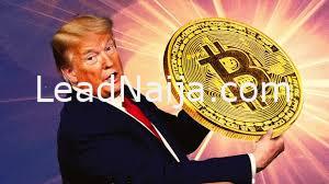 Newly Launched Donald Trump Cryptocurrency Price Soars, Check Out!