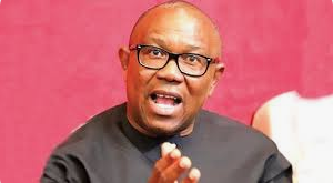 "Is Deeply Troubling" Peter Obi Reacts To Exclusion Of NCDC In 2025 Budget