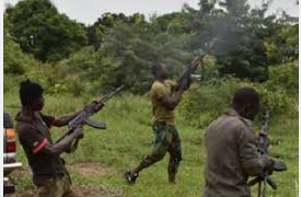 Joint Task Force Kills Two Bandits in Zamfara Community