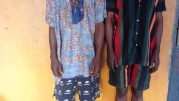 Police Arrest Ogun State Man After Caught Steal Goat For Daughter’s Naming Ceremony