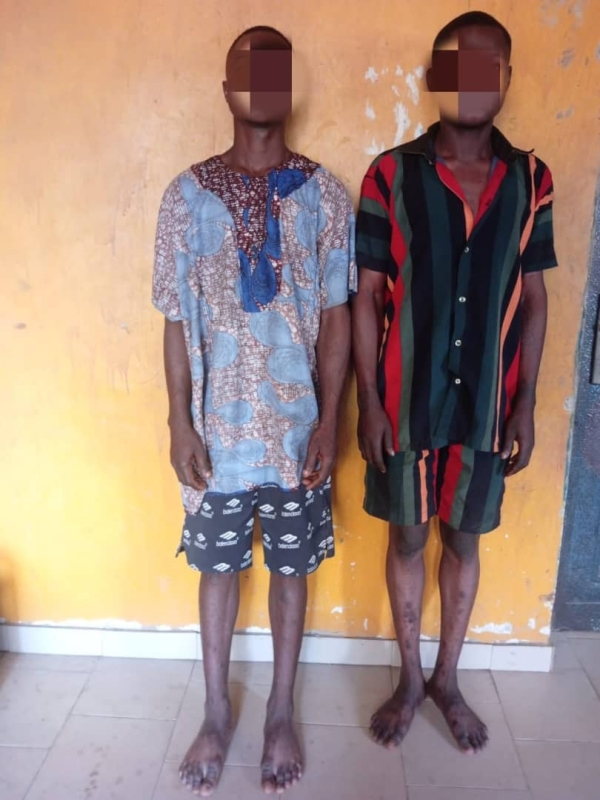 Police Arrest Ogun State Man After Caught Steal Goat For Daughter’s Naming Ceremony