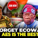 ECOWAS-AES Split: A Turning Point for West Africa with Far Reaching Consequences