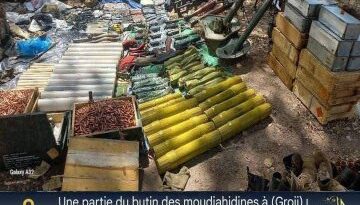 JNIM Claims Attack on Beninese Army Camp In Karimama