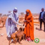 Katsina State Government Spent N5.4 Billion On Goat-rearing Initiative - Governor Dikko Radda