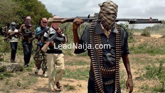 Police, Vigilantes Neutralize Four Kidnappers, Rescue Victim in Kebbi