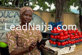 Federal Government Strengthens Loan Access For Small Business Owners, See How To Apply