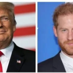 "He Got Enough Problems"Trump Disclose Why He Won’t Deport Prince Harry