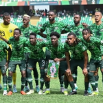 FIFA World Cup: Full List Of Notable Absentees In Super Eagles Final 23-Man Squad