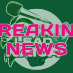 JUST-IN: Herdsmen Killed Soldier, Residents In Benue Fresh Attack