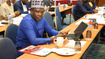 Presidency Mocks Proposed 2027 Anti-Tinubu Coalition: ‘It’s Pure Hallucination’