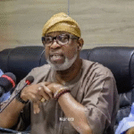 Sustainable Energy Shift Requires Global Unity, Says Alake