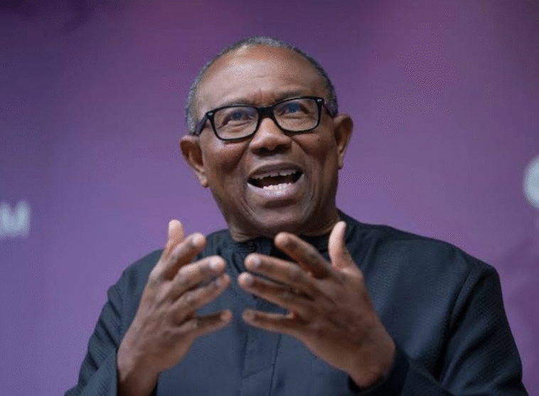 "It's Heartbreaking Cases” – Peter Obi Reacts to UTME Result Errors