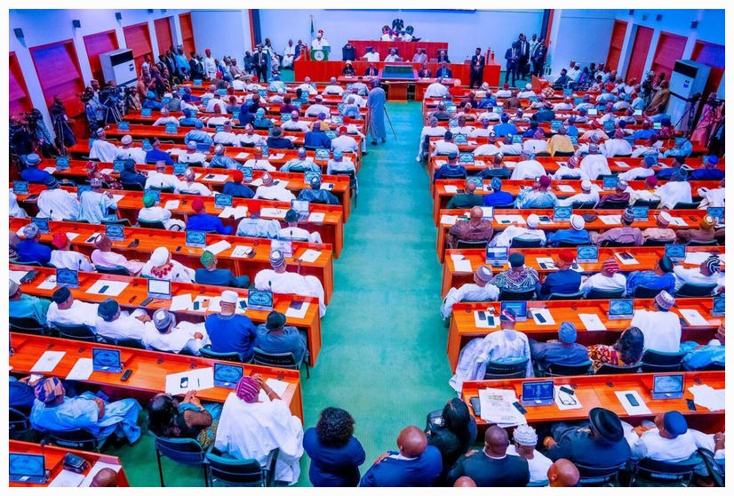 Lawmakers Tackle MDAs For Overlooking Federal Character Mandate
