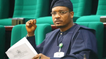 "I Can’t Deceive You, I’m Scared Myself, Nigeria Is Bleeding" – Reps Member Laments