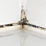 Every Home Should Stop Opening Bathroom Windows After Showers For Important Reason - Experts Warn