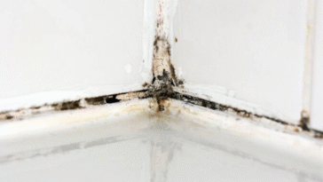 Every Home Should Stop Opening Bathroom Windows After Showers For Important Reason - Experts Warn