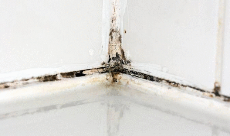 Every Home Should Stop Opening Bathroom Windows After Showers For Important Reason - Experts Warn